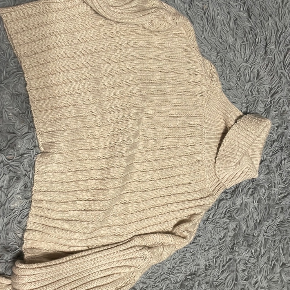Cropped Turtleneck Sweater
